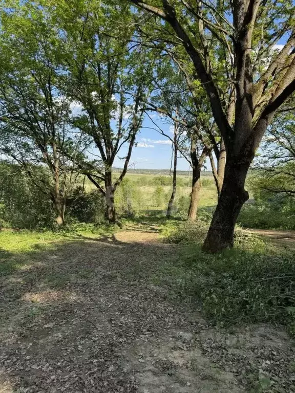 Участок в Калужская область, Совхоз Боровский с/пос, д. Николаевка  ... - Фото 2