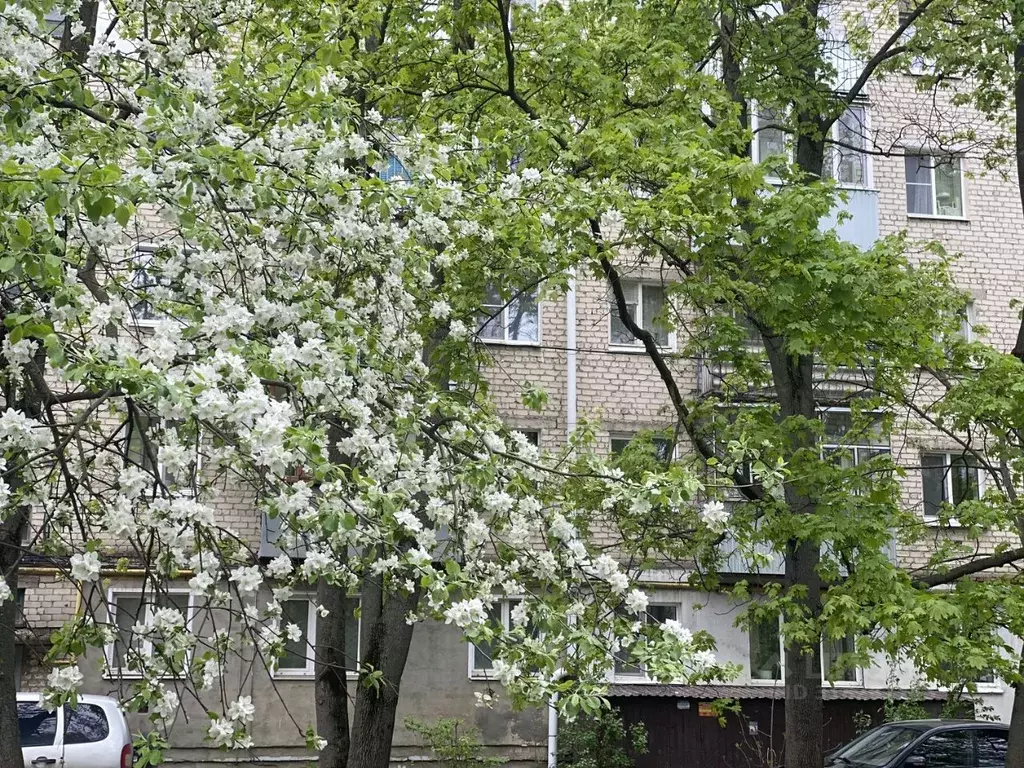 3-к кв. Пензенская область, Пенза ул. Луначарского, 38А (53.8 м) - Фото 0