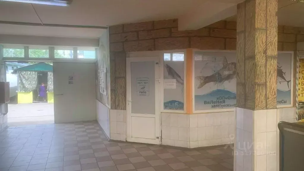 Помещение свободного назначения в Краснодарский край, Краснодар ул. ... - Фото 1