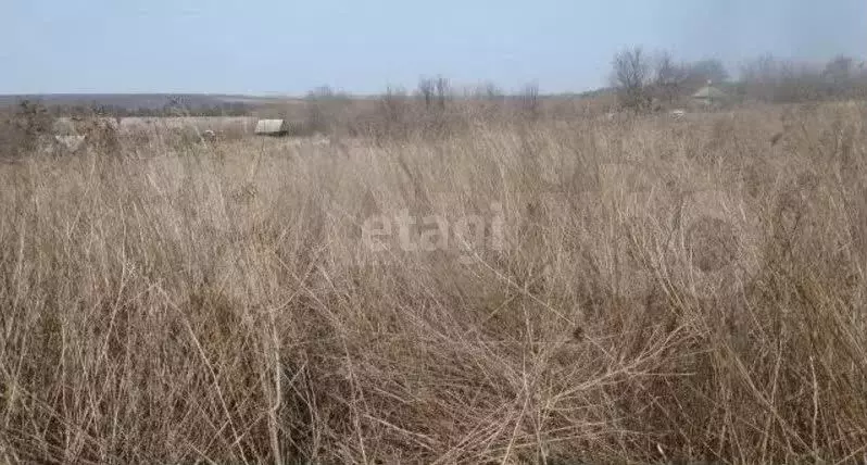 Участок 12 сот. (ИЖС) - Фото 1
