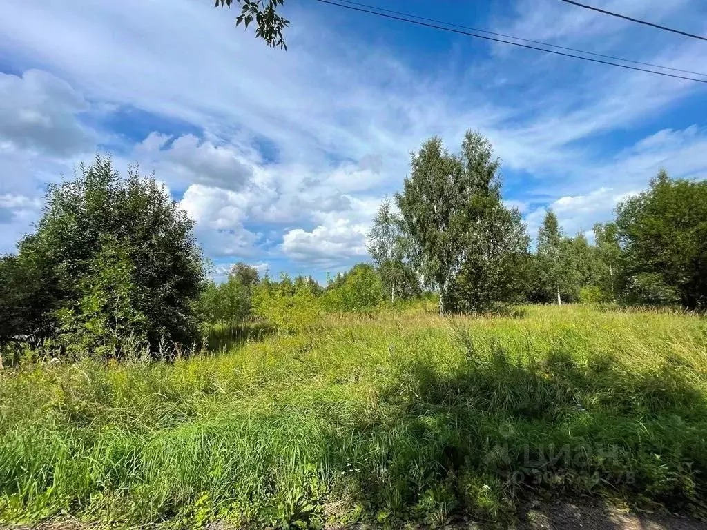 Участок в Московская область, Богородский городской округ, д. ... - Фото 1