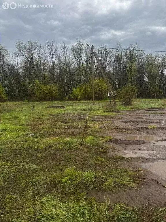 Участок в село Илек, улица Есенина (6 м) - Фото 1
