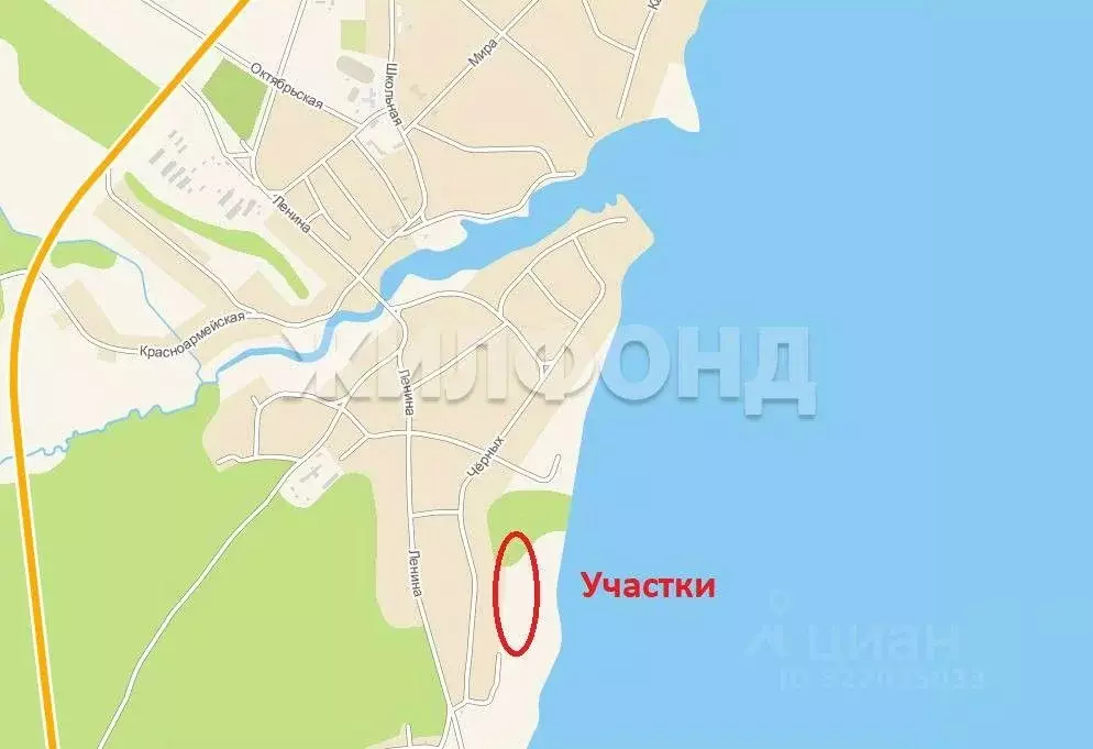 Участок в Новосибирская область, Ордынский район, с. Кирза ул. Речная ... - Фото 1