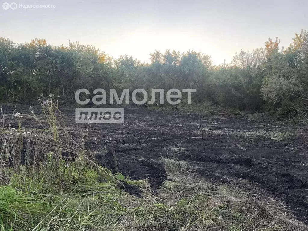 Участок в деревня Мозжуха, Совхозная улица, 13 (12.5 м) - Фото 1