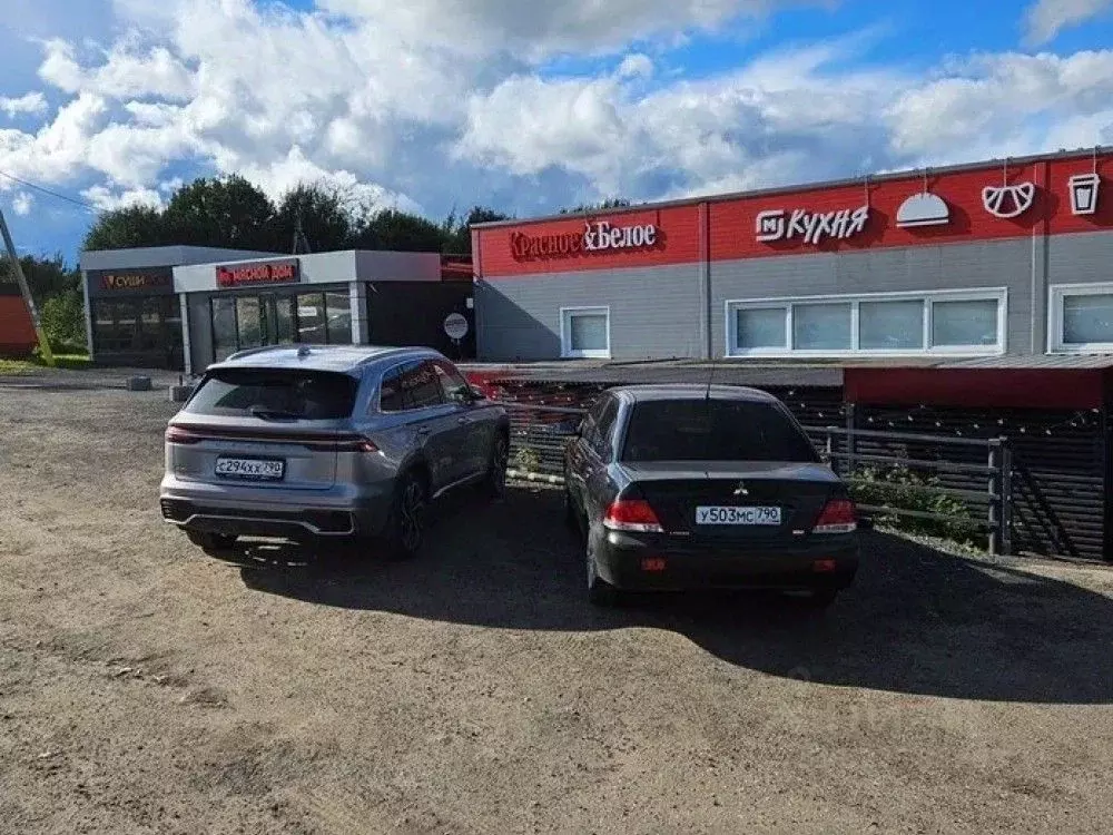 Торговая площадь в Московская область, Истра муниципальный округ, д. ... - Фото 1