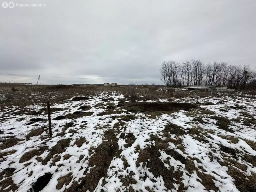 Участок в посёлок Санамер, улица Жукова (8 м) - Фото 1