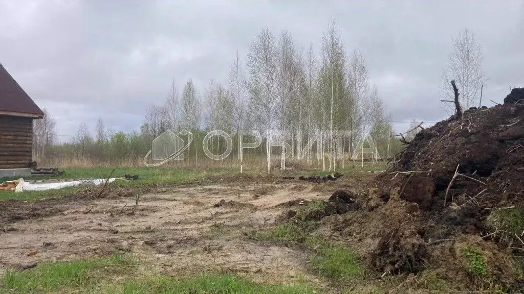 Участок в Тюменская область, Тюмень Большое Царево-2 СНТ,  (10.0 сот.) - Фото 2