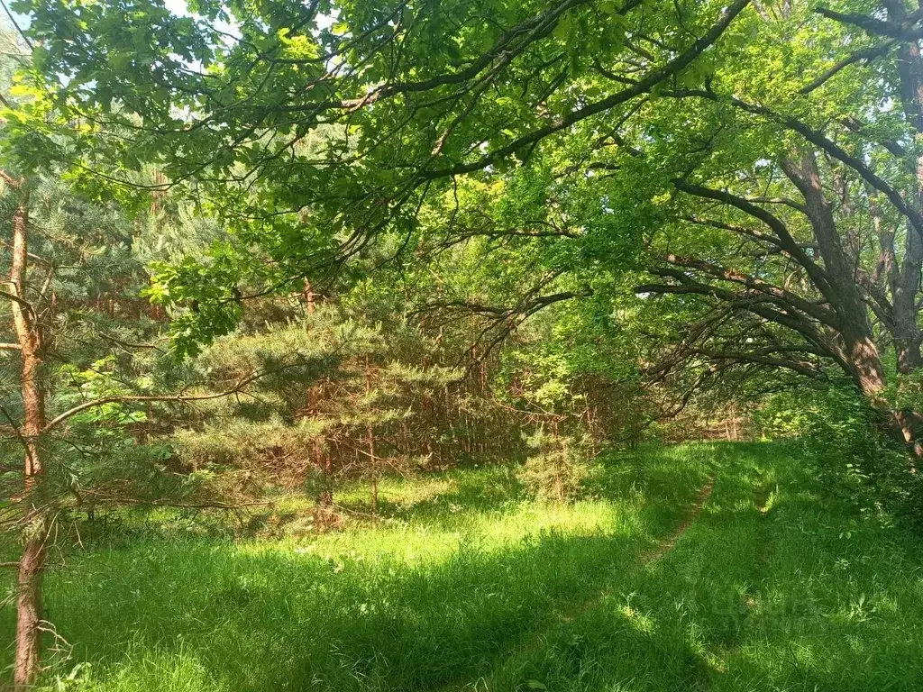 Участок в Нижегородская область, Балахнинский муниципальный округ, ... - Фото 1