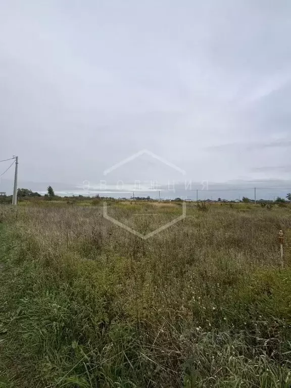 Участок в Калининградская область, Гурьевский муниципальный округ, ... - Фото 1