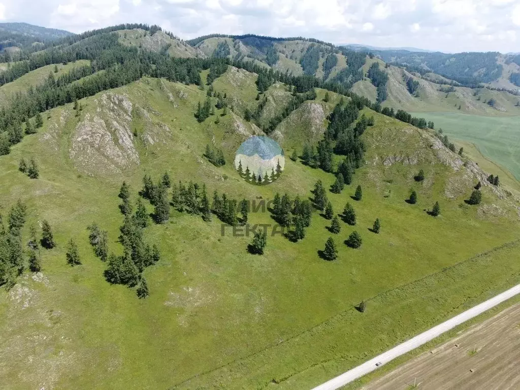 Участок в Алтай, Усть-Коксинский район, с. Курдюм  (250.0 сот.) - Фото 1