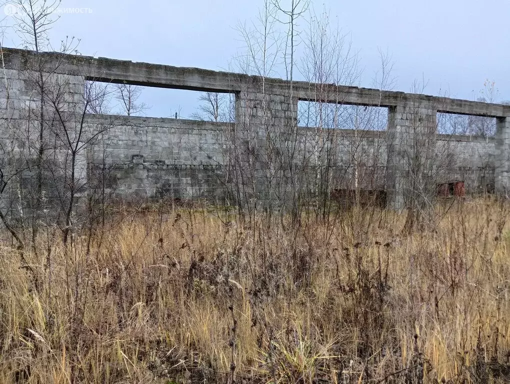 Участок в Петушки, Дачная улица, 2 (22 м) - Фото 1