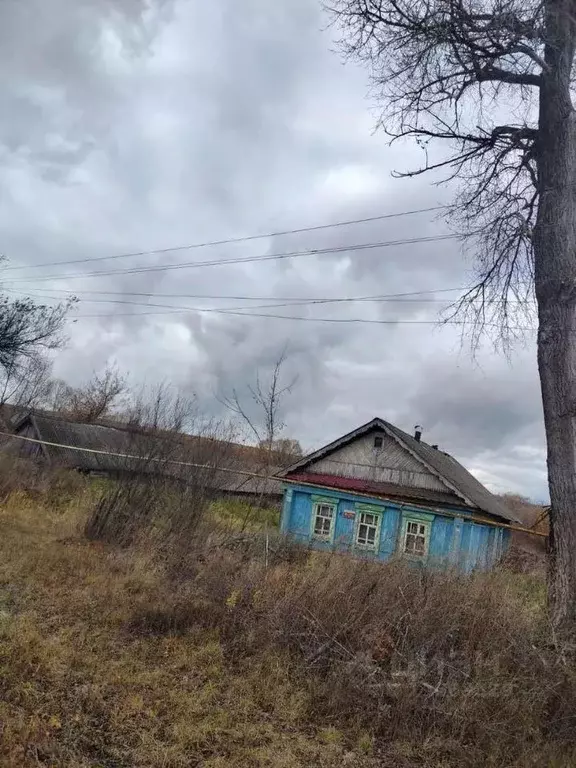 Дом в Мордовия, Большеберезниковский район, с. Пермиси Республиканская ... - Фото 1