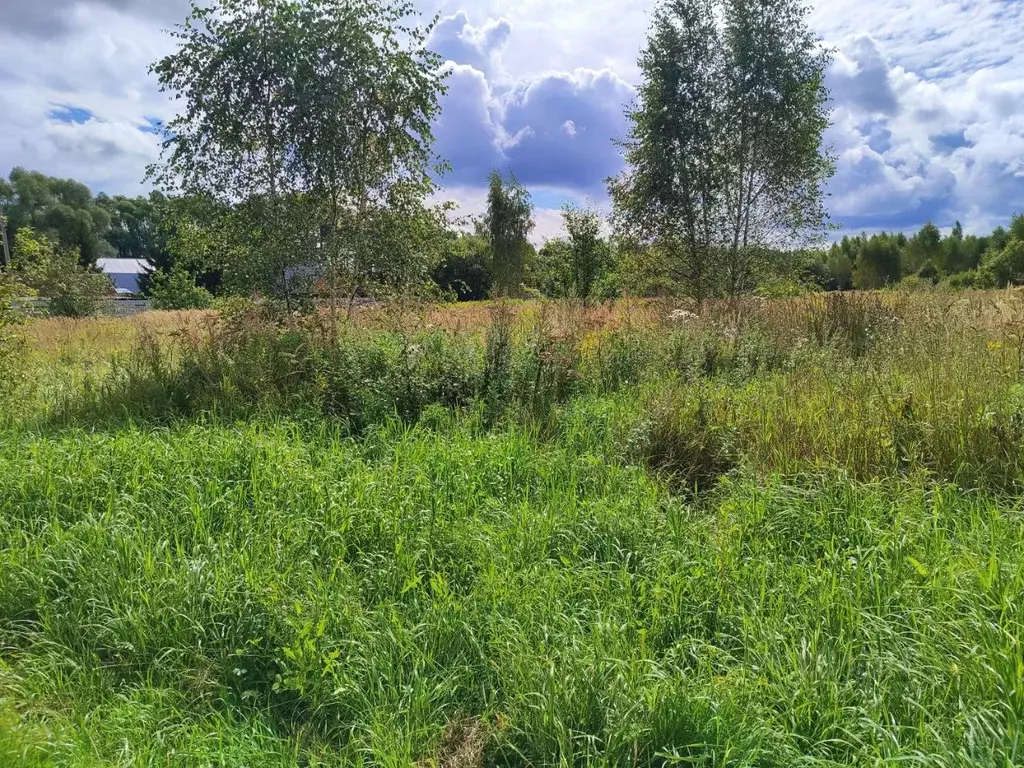 Участок в Московская область, Раменский муниципальный округ, д. ... - Фото 2