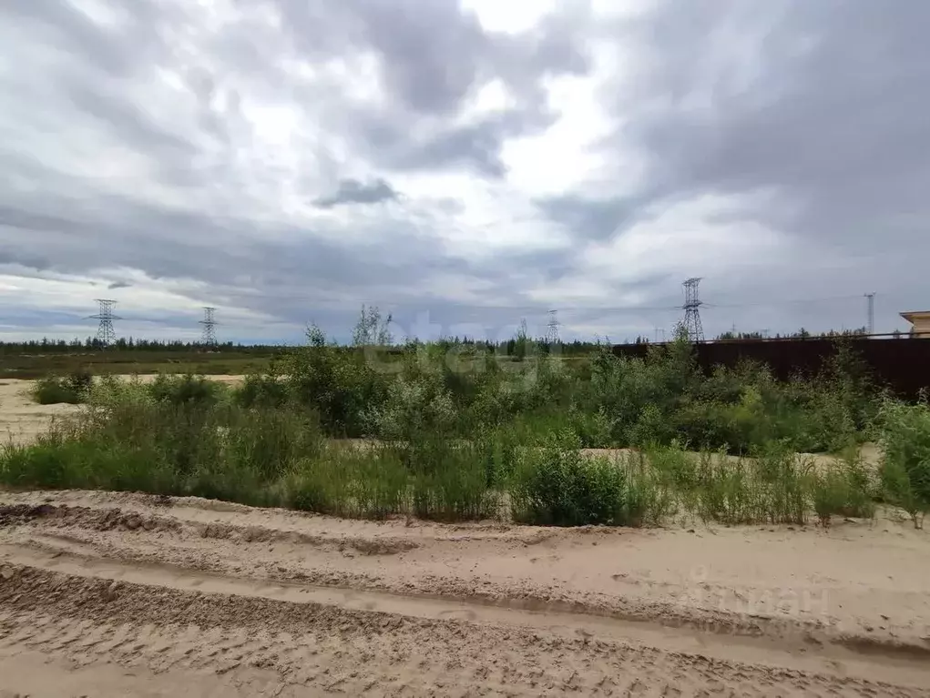 Участок в Ямало-Ненецкий АО, Новый Уренгой Северный Берег ДНТ, ул. 1-я ... - Фото 1