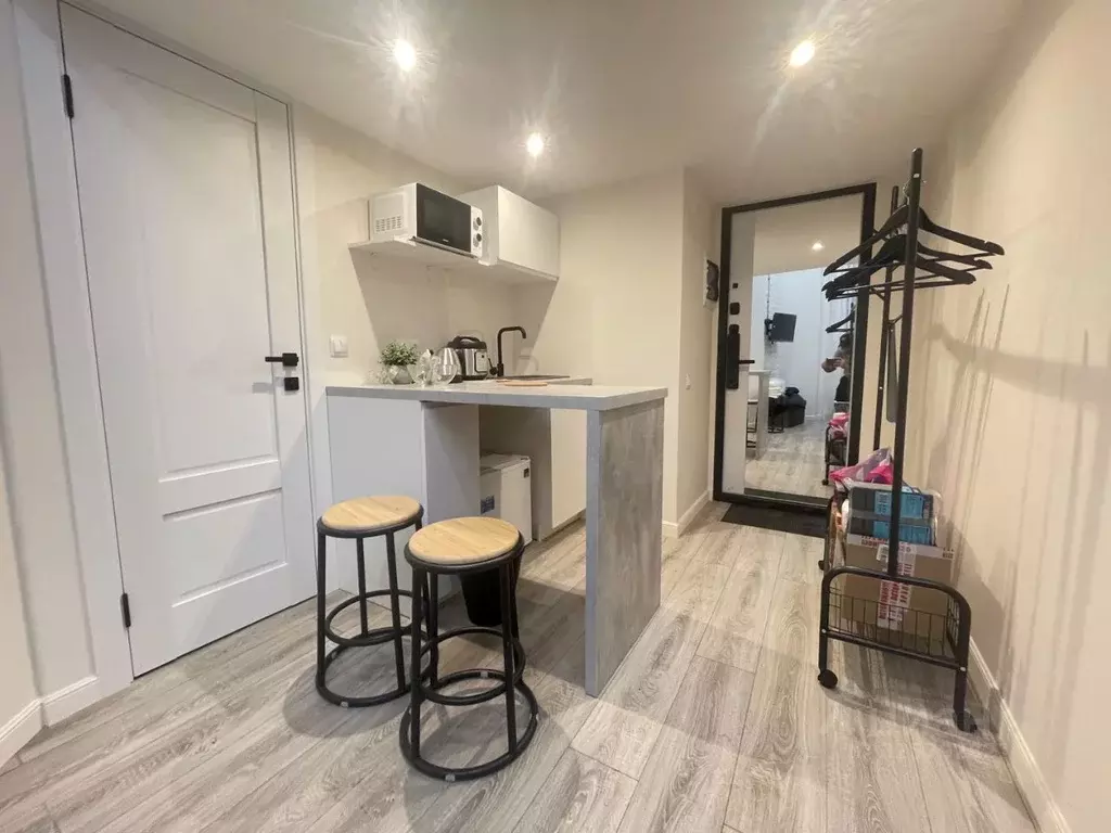 Студия Санкт-Петербург Зверинская ул., 2/5 (16.0 м) - Фото 1