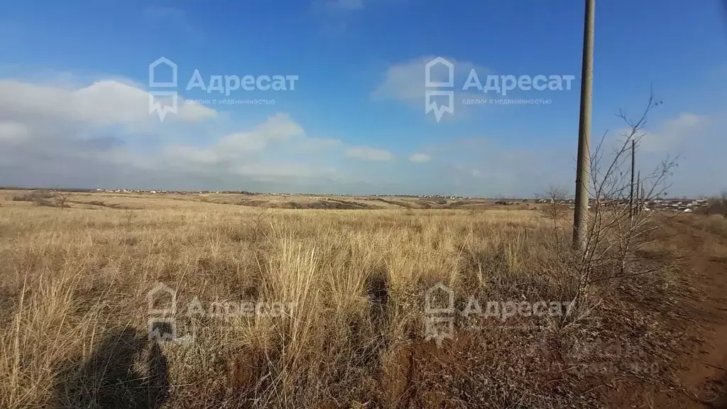 Участок в Волгоградская область, Городищенский район, Царицынское ... - Фото 2