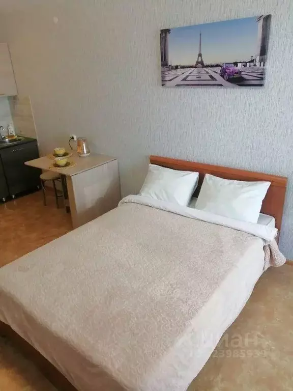 1-к кв. Красноярский край, Красноярск наб. Ярыгинская, 9 (30.0 м) - Фото 1