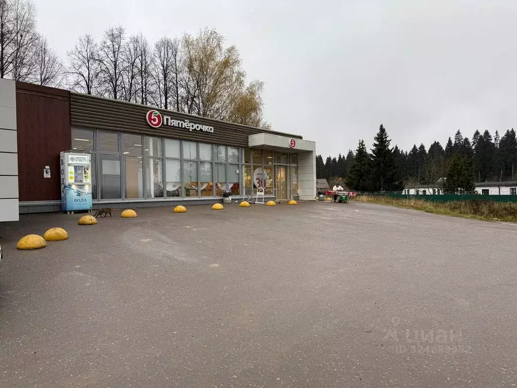 Участок в Московская область, Дмитровский муниципальный округ, д. ... - Фото 2