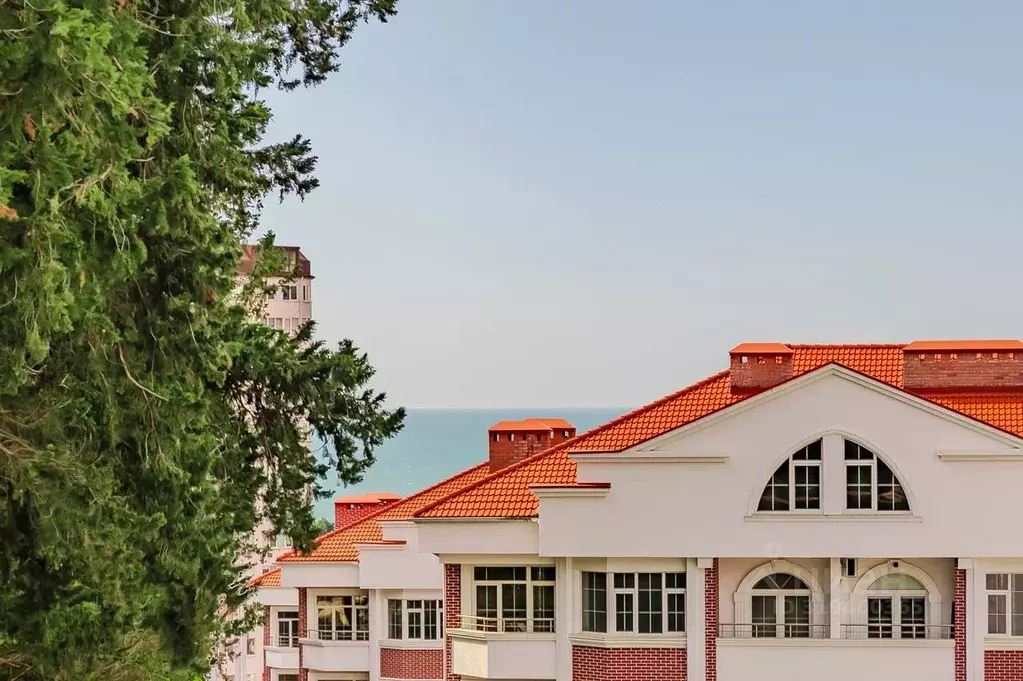 Студия Краснодарский край, Сочи ул. Ленина, 290/7к5 (26.5 м) - Фото 0