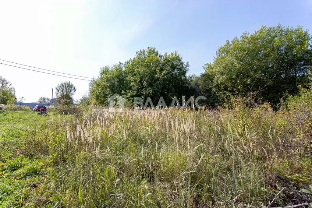 Участок в Владимирская область, Суздальский район, Новоалександровское ... - Фото 0