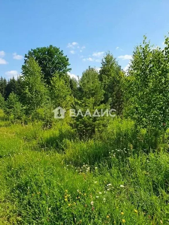 Участок в Нижегородская область, Богородский муниципальный округ, д. ... - Фото 1
