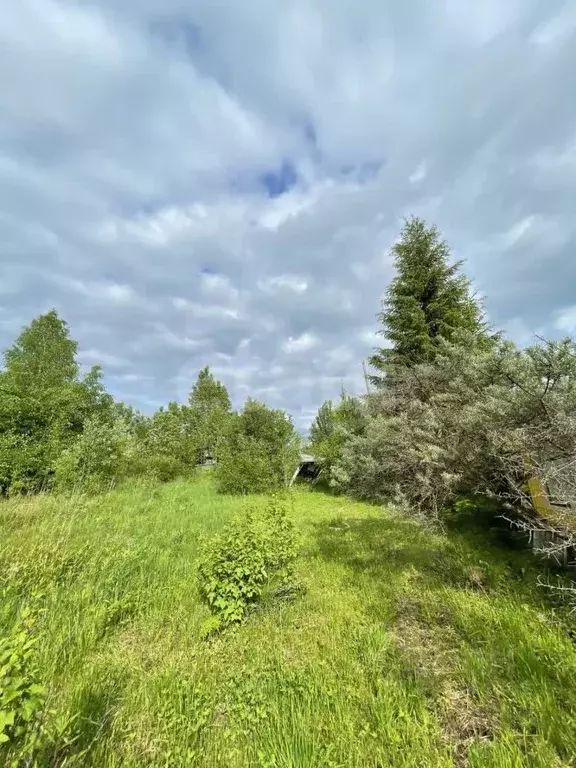 Участок в Архангельская область, Котласский муниципальный округ, ... - Фото 1