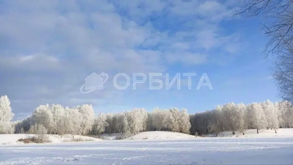 Участок в Тюменская область, Тюменский муниципальный округ, д. ... - Фото 2