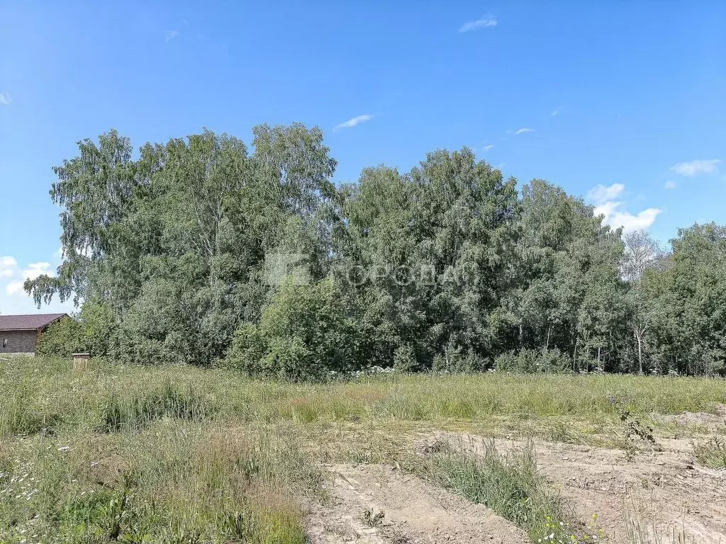 Участок 10 сот. (СНТ, ДНП) - Фото 0