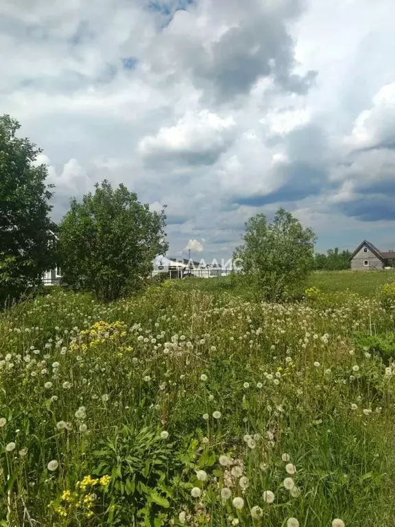 Участок в Ленинградская область, Ломоносовский район, Лопухинское ... - Фото 1