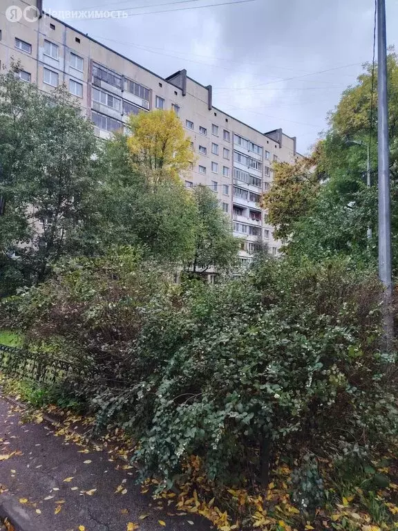 2-комнатная квартира: Колпино, улица Братьев Радченко, 23 (45.2 м) - Фото 2
