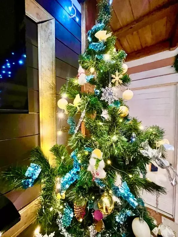 Дом в Московская область, Раменский муниципальный округ, д. Шмеленки ... - Фото 2