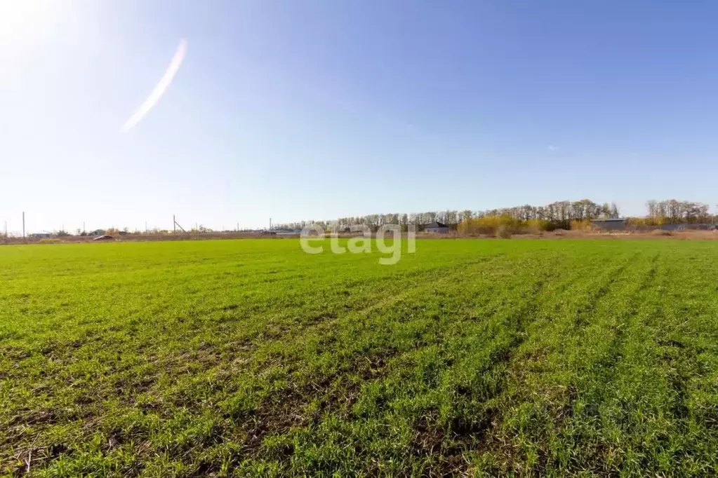 Участок в Ростовская область, Аксайский район, Большелогское с/пос, ... - Фото 1