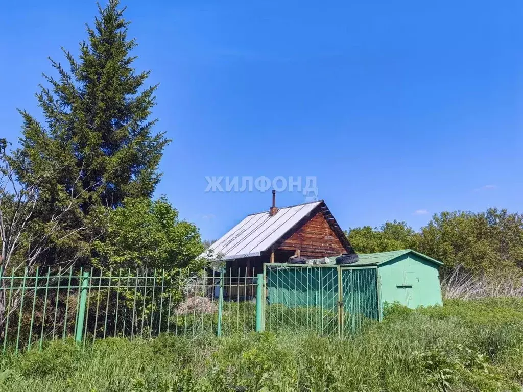 Дом в Новосибирская область, Новосибирский район, Ярковский сельсовет, ... - Фото 1