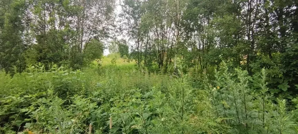 Участок в Московская область, Солнечногорск городской округ, пос. 2-я ... - Фото 1