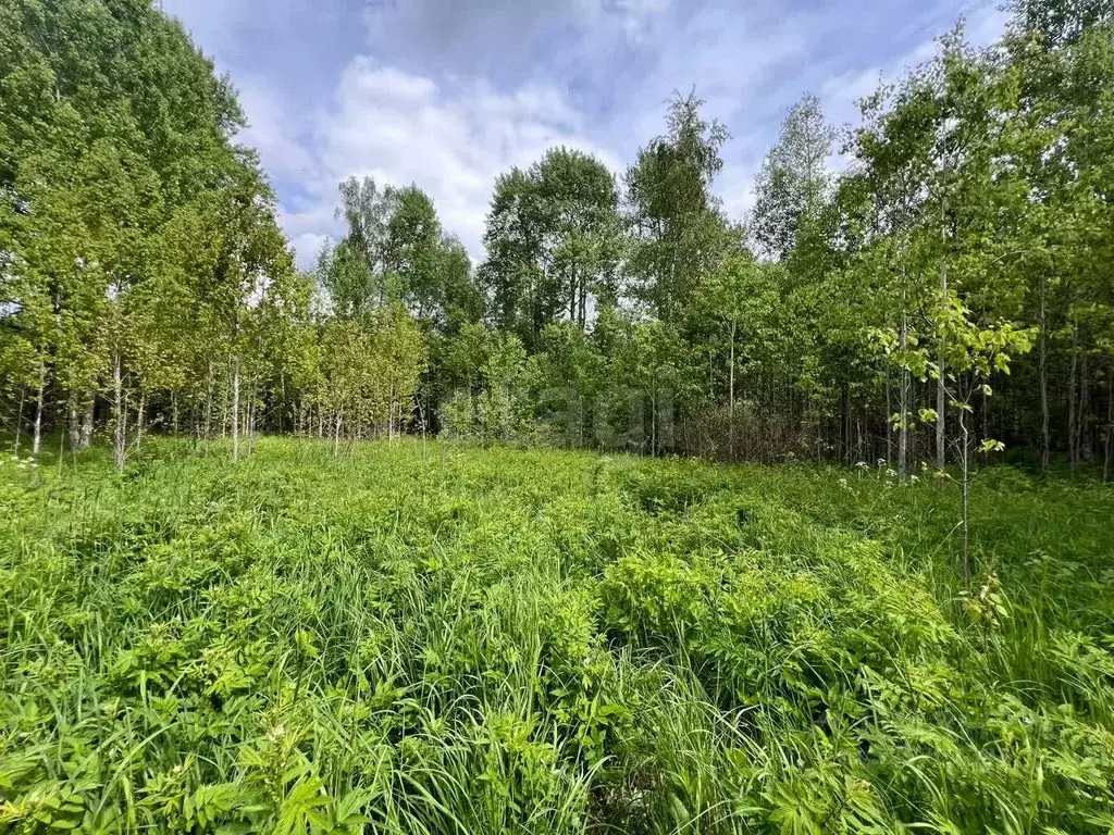 Участок в Ленинградская область, Выборгский район, Советское городское ... - Фото 1