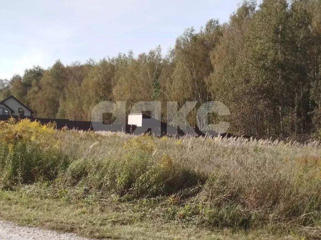 Участок в Тульская область, Алексин городской округ, с. Бунырево  ... - Фото 2