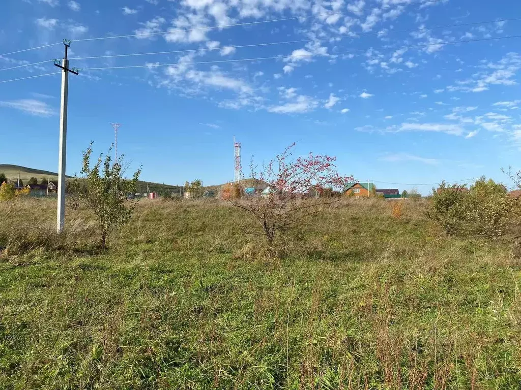 Участок в Алтайский край, Алтайский район, Айский сельсовет, ... - Фото 1