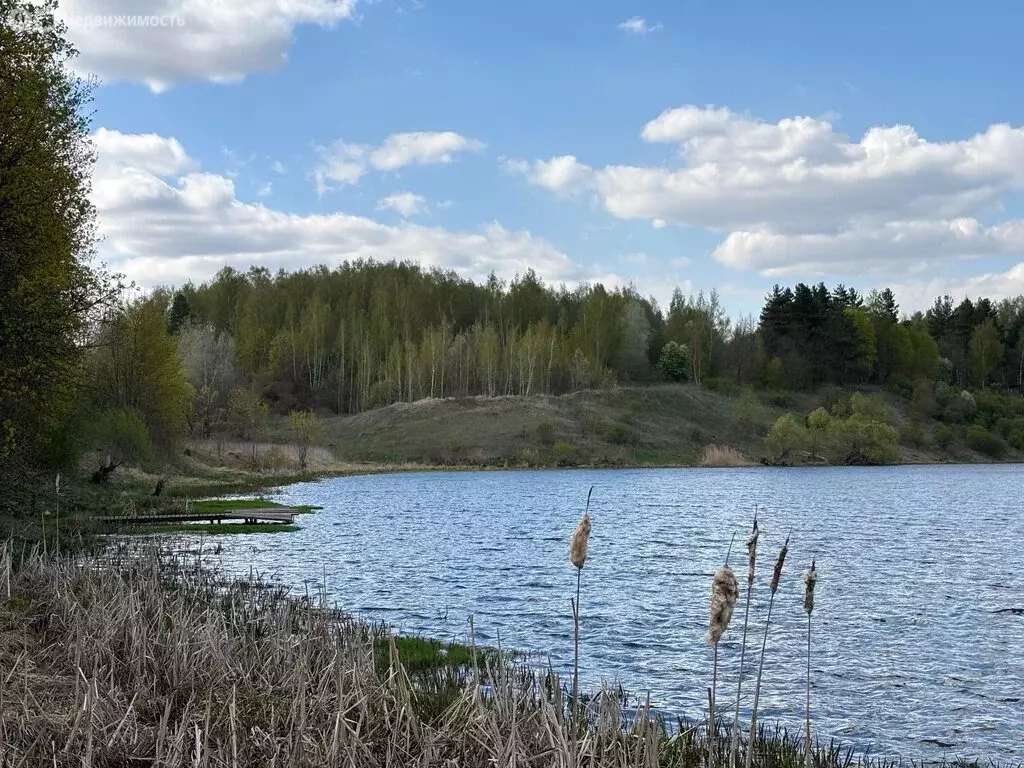 Дом в Щёкинский район, сельское поселение Огарёвское, деревня ... - Фото 0
