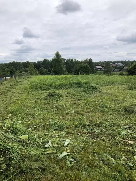 Участок в Московская область, Серпухов городской округ, д. Арнеево  ... - Фото 0