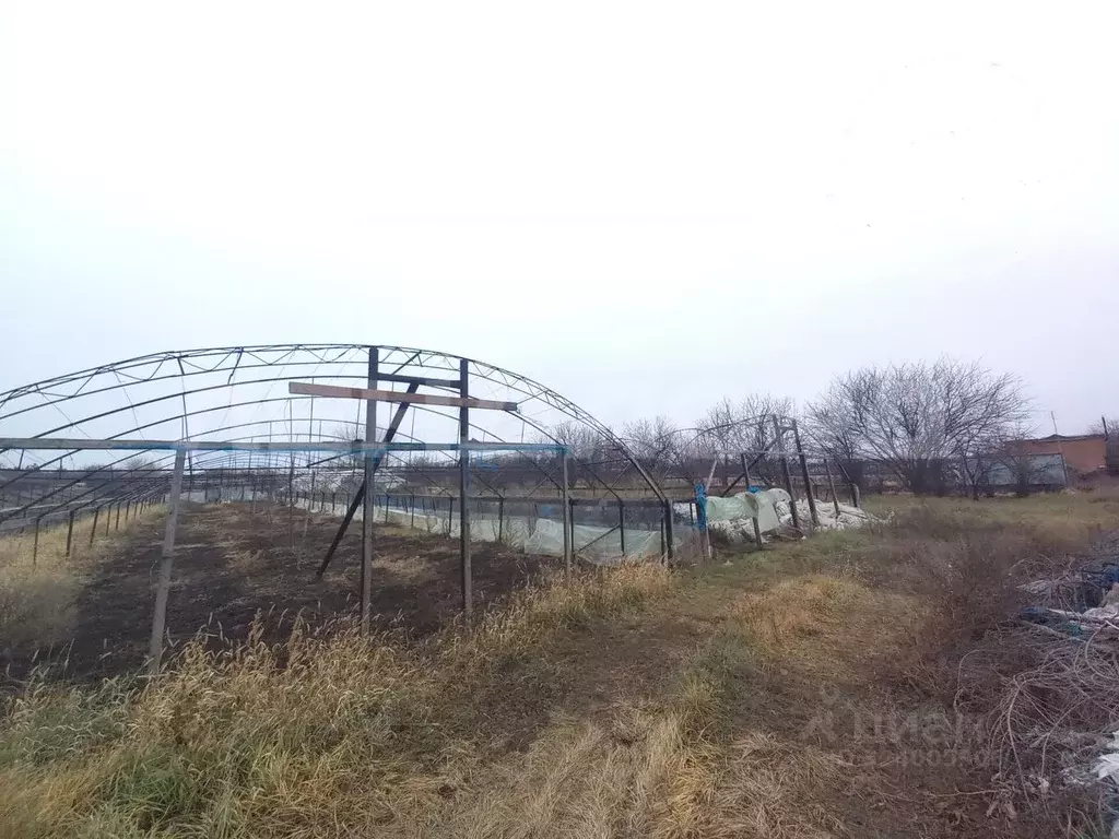 Участок в Ростовская область, Октябрьский район, Бессергеневское ... - Фото 1