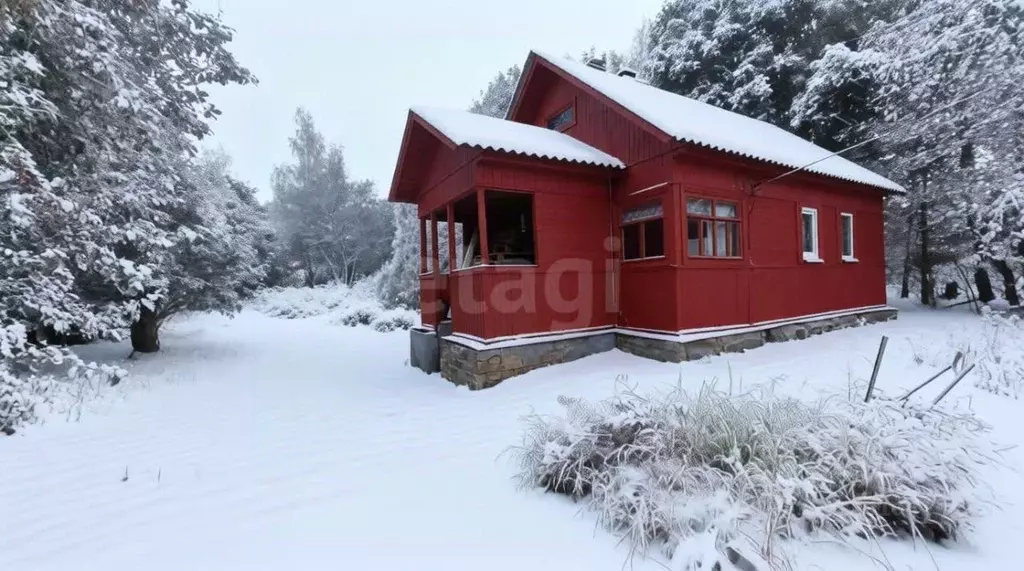 Дом в Тульская область, Алексин городской округ, с. Изволь 1 (20 м) - Фото 1