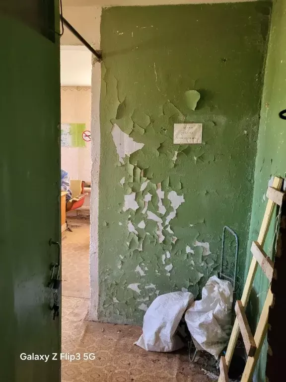 Помещение свободного назначения в Нижегородская область, Богородский ... - Фото 1