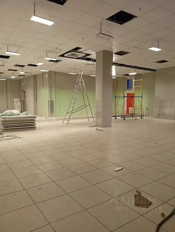 Помещение свободного назначения в Москва Суздальская ул., 12А (183 м) - Фото 2