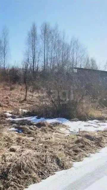 Участок в Вологодская область, Вологда Медик садоводческое ... - Фото 1