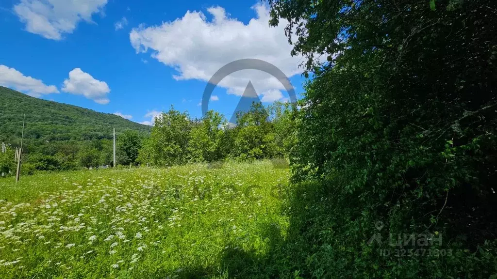 Участок в Краснодарский край, Апшеронский район, Мезмайское с/пос, ... - Фото 2