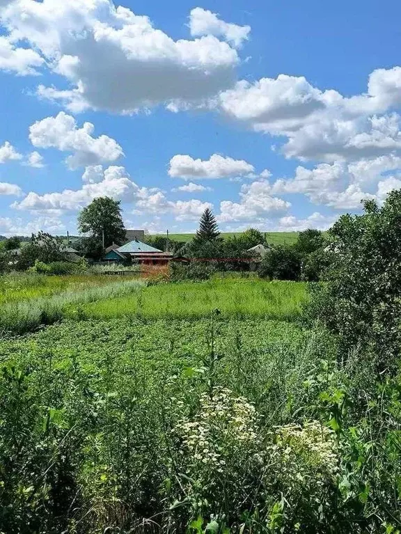 Участок в Белгородская область, Старооскольский городской округ, с. ... - Фото 2