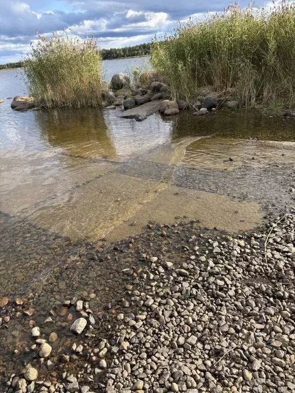 Дом в Ленинградская область, Приозерский район, Запорожское с/пос, ... - Фото 2