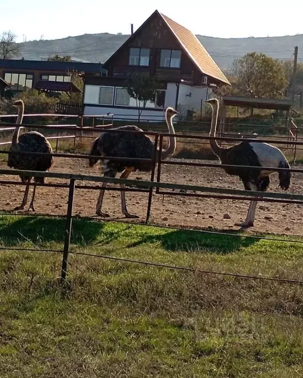 Дом в Крым, Керчь ул. Катерная, 17 (86 м) - Фото 2