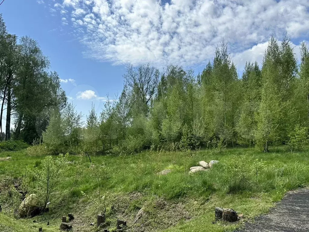 Участок 9,8 сот. (СНТ, ДНП) - Фото 1