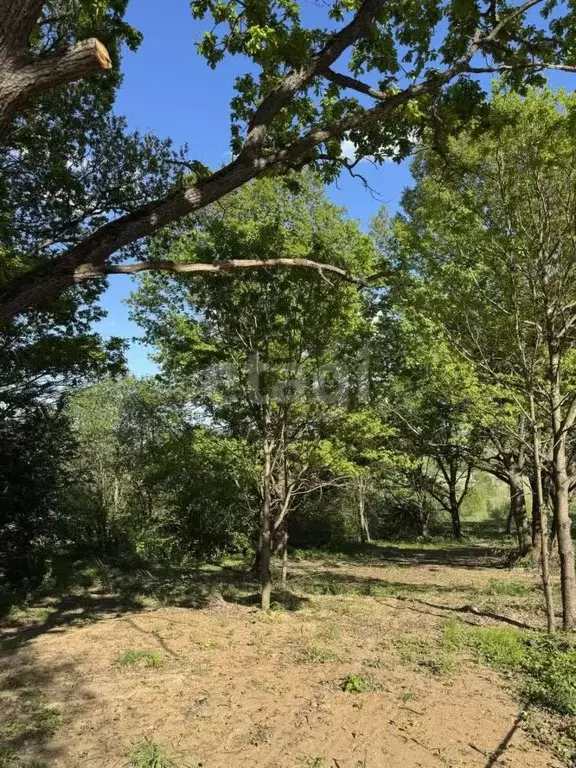 Участок в Калужская область, Совхоз Боровский с/пос, д. Николаевка  ... - Фото 1